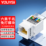 YOUYSI网络面板电脑插座单口双口网线口 适用电话语音模块 超五/六/七类模块加厚白色 六类模块【免打式】白色