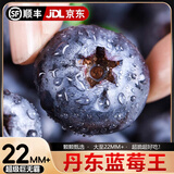 寻良万亩丹东L25花香蓝莓 金钻级【JD/顺丰多地次日达】新鲜水果送礼物盒 125g*8盒【超划算】丨净100g 【金标级】大果18mm+