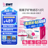 倍世（BWT） 第4代镁离子活力款滤芯 德国技术欧洲原装进口 过滤净水器家用滤水壶净水杯净水壶用 【镁离子】12只装