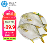 环球水产 冷冻南海二去金鲳鱼900g2条 去鳃去脏 深海鱼生鲜鱼类  家庭聚餐