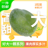 京鲜生 好大一颗凯特芒 1粒2斤巨无霸 生鲜水果 源头直发