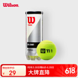 Wilson威尔胜TITANIUM 训练网球罐装 3只装