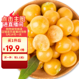 京鲜生 姑娘果/灯笼果  1斤装 生鲜水果