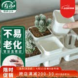 寿禾 育苗盒方形育苗杯种植盆培育种苗 育苗盒套装(含托架)-白色款