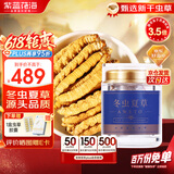 紫蓝花海全虫断草 冬虫夏草5g(8-11根)甄选品质断虫草滋补【健康礼盒】