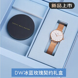 丹尼尔惠灵顿（DanielWellington）DW女士手表简约欧美时尚腕表 石英手表女送女友礼物DW00100219