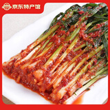 金刚山辣白菜韩国泡菜朝鲜延边韩式下饭菜 小香葱泡菜300g*2袋