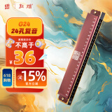 敦煌 盘古臻艺 24孔复音口琴 豆沙色G24 C调  初学推荐