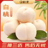 桃小蒙沂蒙山白桃 白玉脆桃当季水果毛桃蒙阴新鲜桃子生鲜 2.25kg单果180g+