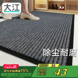 大江 入户地垫门口脚垫进户门门垫脚垫地毯防滑入户门地垫80x120cm