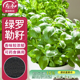 寿禾 罗勒种子苗食用香草绿色盆栽种植香草种籽 潍丰寿艺罗勒种子5g