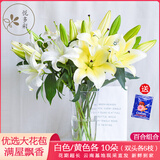 悦多彩AB级优质香水百合 家庭办公室各色生活鲜花 昆明基地 现采直发 百合组合20朵（白色/黄色各10朵）