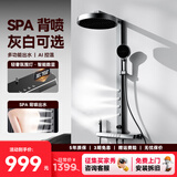 浪鲸（SSWW）淋浴花洒套装大置物架家用沐浴器卫生间卫浴恒温数显可升降 TS8 枪灰冷热【升级腰背喷】
