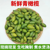 鲜级佳2025新鲜橄榄正宗青橄榄果生青果福建闽清檀香榄煲汤回甘水果现摘 250g