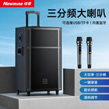 纽曼（Newmine）N529 15寸广场舞蓝牙音箱大功率户外移动便携式拉杆家用K歌大音量无线音响超长续航双麦 5喇叭