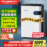 欧井（Eurgeen）除湿机/抽湿机 除湿量22升/天 家用地下室净化杀菌智控除湿器 OJ-223E