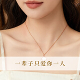 GLTEN施华洛世奇锆一贝子银项链女款2026新款生日七夕情人节礼物送女友