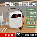 雅兰仕（EARISE）H609小蜜蜂扩音器教师专用蓝牙音箱音响可录音TF卡U盘腰挂麦克风导游户外便携式喊话器教学 白