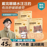 ITKE蒸汽热敷眼罩缓解眼睛疲劳淡化黑眼圈保护视力遮光 10片/盒