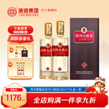 滨河九粮液53度白酒 甘肃名酒九粮香型纯粮酒 高端商务接待白酒 53度 500mL 2瓶 【两瓶装】