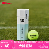 Wilson威尔胜全场地用球美网澳网专业训练网球 3粒装（球面数字随机）