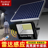 荣事达太阳能灯庭院灯户外照明灯家用路灯LED防水投光灯室外景观灯