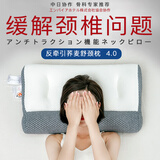 Huadn日本荞麦枕头牵引枕芯颈椎枕头护颈枕颈椎病深度睡眠专用枕1.9kg