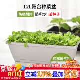 花沃里花盆大号带托盘2个装 阳台种菜盆种植箱种子育苗盘长方形塑料花盆