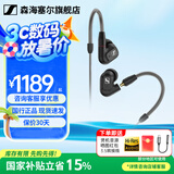森海塞尔（Sennheiser）IE900/IE600/IE300旗舰级HIFI高保真超宽单动圈单元可拆卸MMCX挂耳式耳机 高保真发烧有线耳机耳塞 IE300 【进阶HIFI高保真】