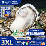 贝司令（BEISILING）【鲜活】乳山生态生蚝牡蛎贝类烧烤源头直发3XL净重9斤  海鲜水产