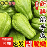 正宗云南现摘现发佛手瓜洋瓜新鲜时令蔬菜生鲜 佛手瓜 4斤 带箱