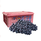 【季节限定-整箱】20°新疆蓝莓夏黑葡萄1.5kg