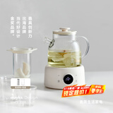 olayks立时 养生壶全玻璃 煮茶壶 迷你办公室一人用 养生水壶玻璃烧水壶恒温水壶 国家补贴 1L OLK-06-09