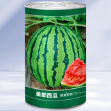 大禹懒汉西瓜种子苗特大适合南方早熟懒人8424麒麟瓜美都无籽水果蔬菜 美都西瓜种子 600粒/桶