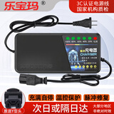 乐宝玛适用雅迪电动车专用充电器48V60V20ah72V20ah自动断电智能脉冲铅酸充电器 雅迪Y型插头【图片左下角核对】 48V12AH【充满自停】高端款