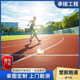 塑胶跑道EPDM橡胶彩色颗粒学校操场材料幼儿园篮球场地面材料施工 透气型跑道 咨询享优惠