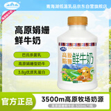 青海湖高原娟姗鲜牛奶500ml 高端奶牛 鲜奶 低温奶 巴氏杀菌 