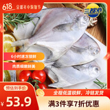 三都港 冷冻东海银鲳鱼净重450g/3条装 平鱼 海鱼生鲜鱼类 烧烤