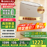 格力（GREE）除湿机/抽湿机家用卧室客厅低噪除潮除霉可干衣单间40平除湿器20升/天智能控湿24H定时DH20EF