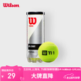 Wilson威尔胜TITANIUM 训练网球罐装 3只装