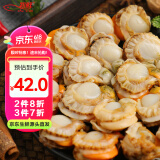 初鲜大号冷冻带黄扇贝肉2斤约80-120颗烧烤火锅食材海鲜水产端午聚餐