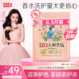 立白大师香氛洗衣粉8.52斤 洁净护色 祛味去渍 持久留香