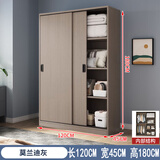 简易衣柜家用卧室小户型新款2025爆款柜子出租房屋用推拉门挂衣橱 2门【莫兰迪卡】长120cm衣柜 组装【送货到楼下 自行安装】