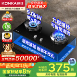 康佳（KONKA）燃气灶煤气灶双灶具【国家补贴】5.0kW九腔火鸳鸯灶台式嵌入式 钢化玻璃灶台 JZY-B900Y（液化气）