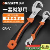 绿林（GREENER）扳手套装工具家用两件套管钳万能活动扳手活口开口多功能卫浴神器