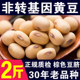 呆呆菇娘非转基因黄豆2斤打豆浆专用黄豆老品种大豆土黄豆五谷豆浆原料C 非转基因黄豆1000g*1袋【2斤】