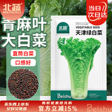 北蔬 青麻叶白菜种子苗直筒长白菜春季蔬菜种籽 天津绿白菜种子2000粒
