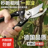 【月销过万】钢剪树剪子枝条剪花枝剪刀家用花木园林修枝剪专用 精工精品-1倍耐用+黑鳞款