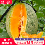 育禾农 冰糖子甜瓜种子大全香瓜苗子梨瓜籽优质老品种夏季水果蔬菜 香洋哈密瓜种子 30粒