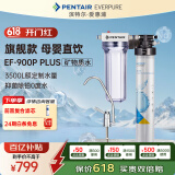 爱惠浦（Everpure） 家用矿物质厨下净水器 大流量0废水直饮 1.8L/分钟3500L处理量 EF-900P Plus